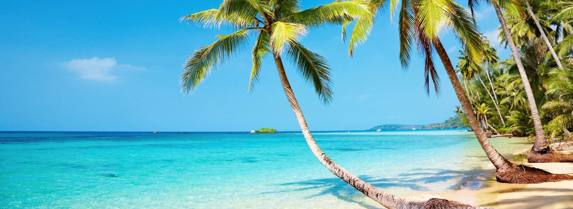 Отдых в на Кубе